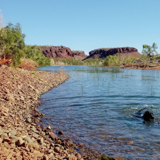 fortescue cover photo 2