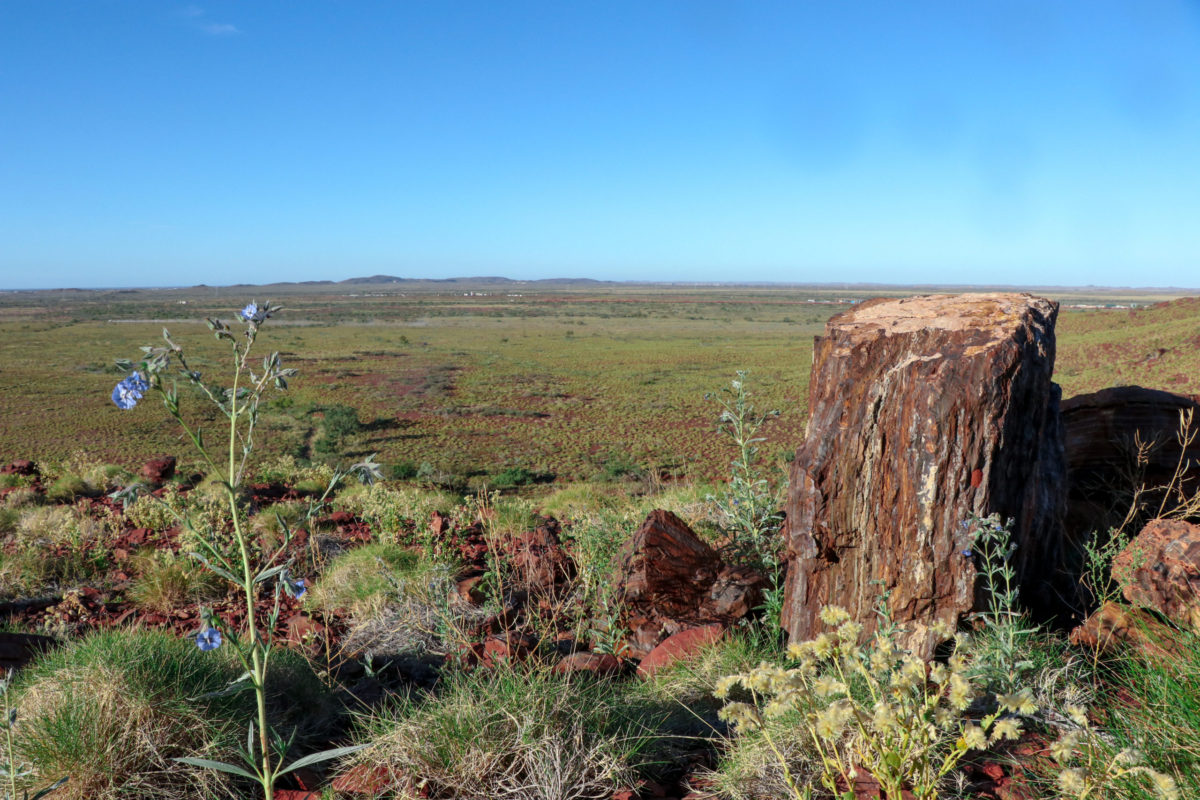 Trails in karratha
