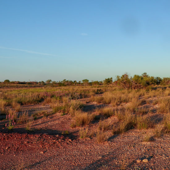 trails karratha