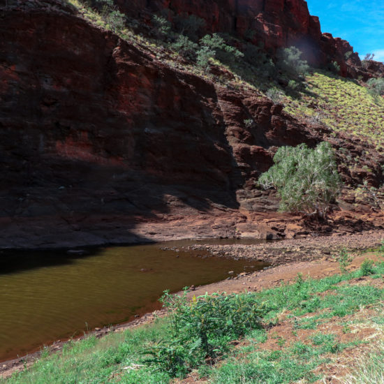georges gorge swimming