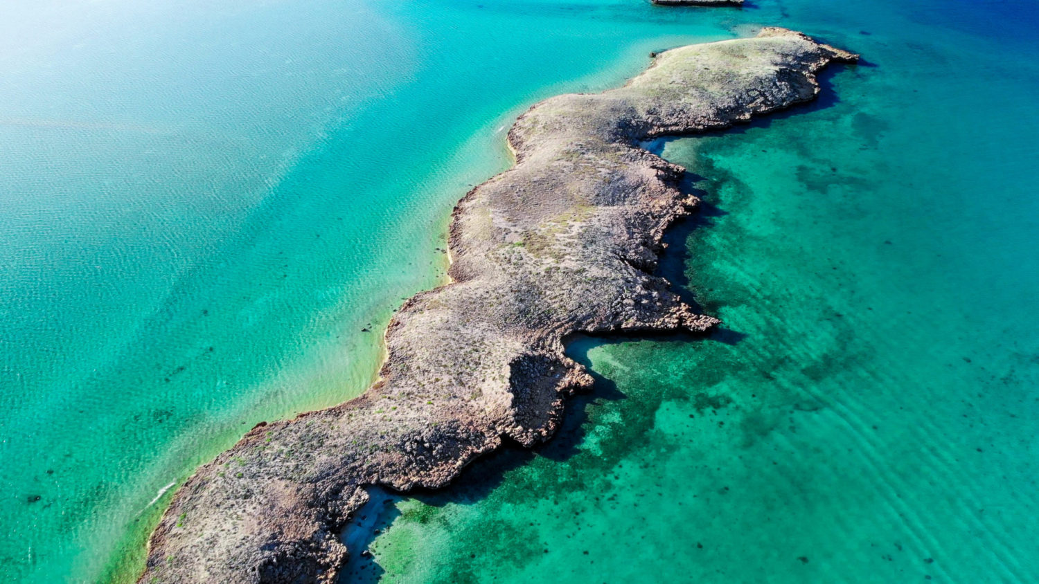 monties western australia
