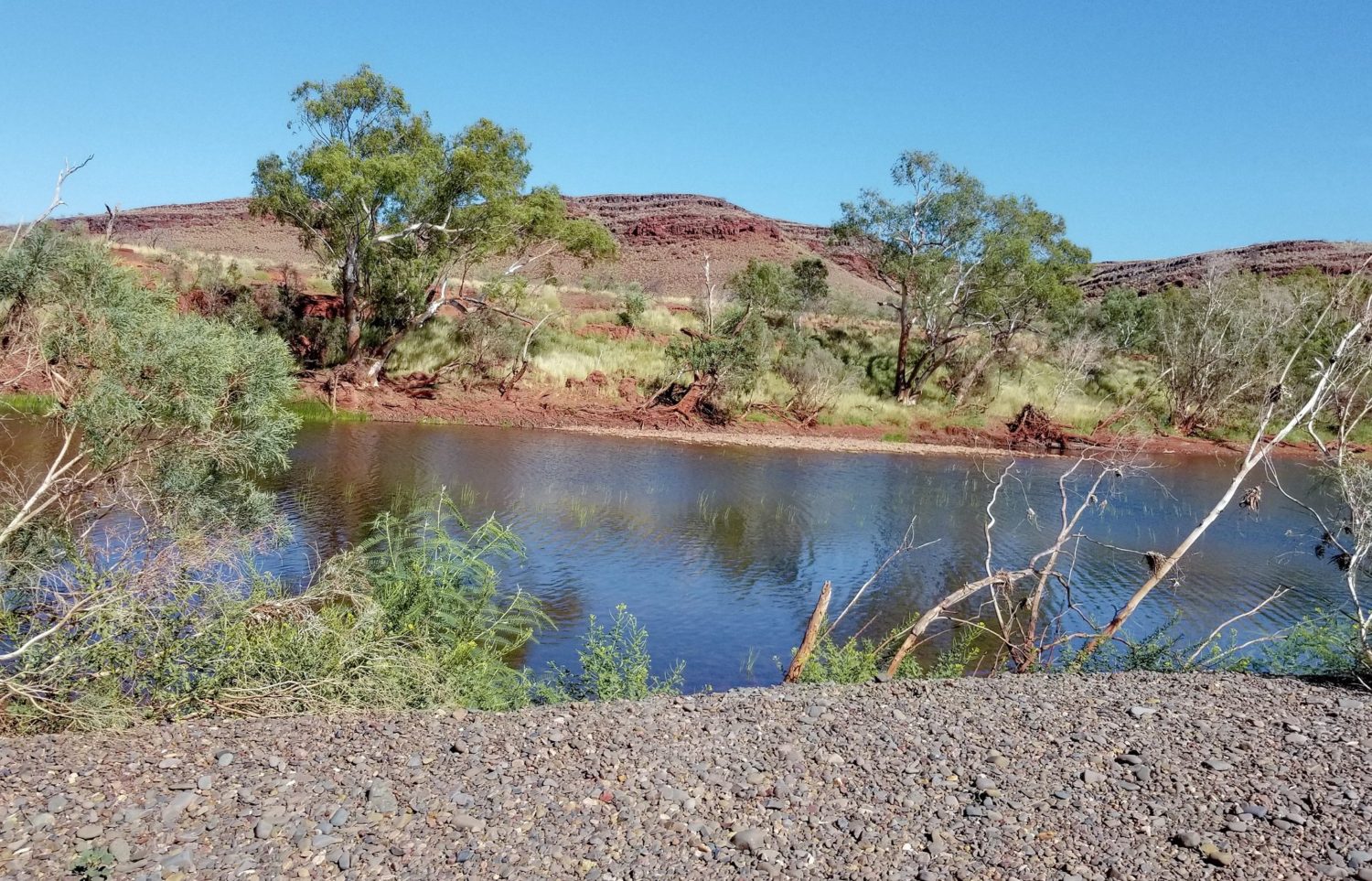 fortescue river camping