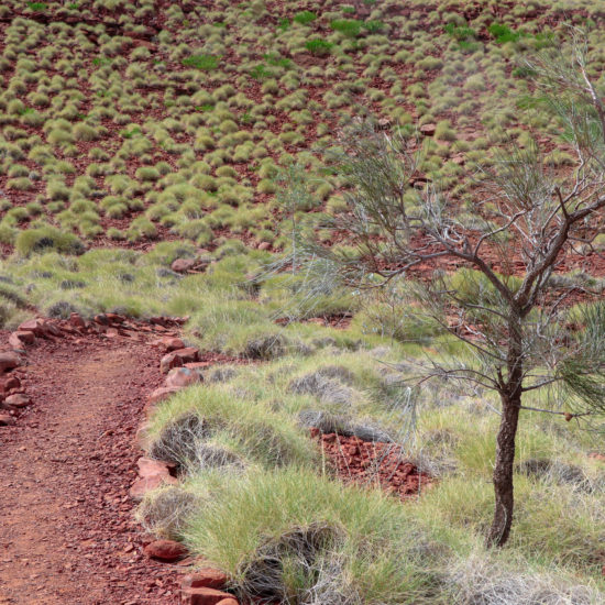 hiking trail pilbara