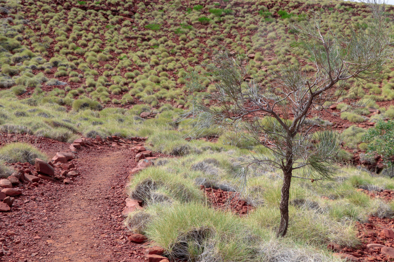 hiking trail pilbara